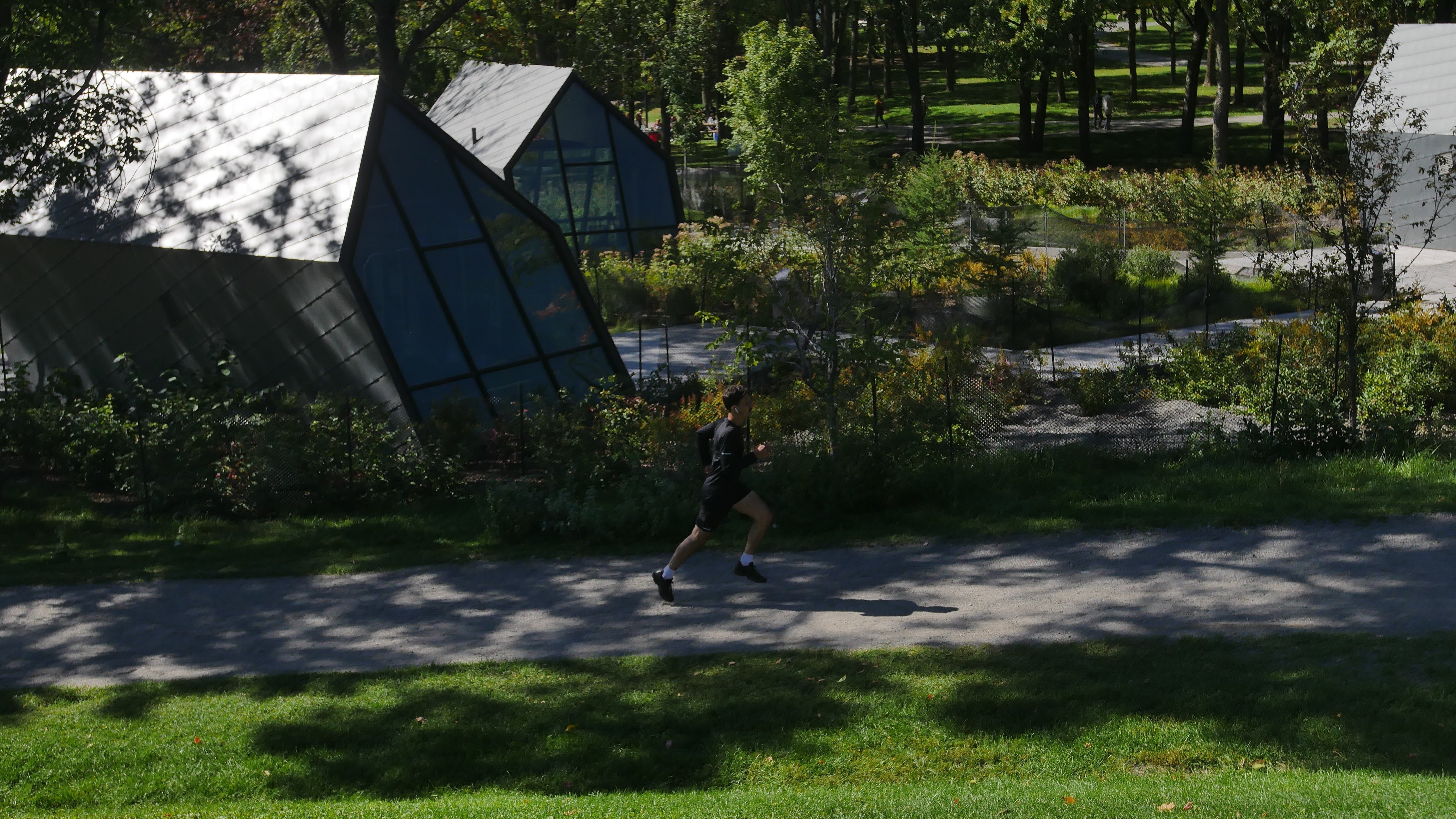 How to Successfully Run Your Half Marathon: Training & Race Day Tips